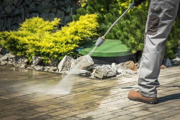 Best Roof Cleaning and Mildew Removal in Mundelein, IL