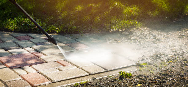 Best Fence Cleaning and Maintenance in Mundelein, IL